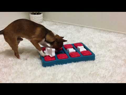 Nina Ottosson Dog Brick Puzzel