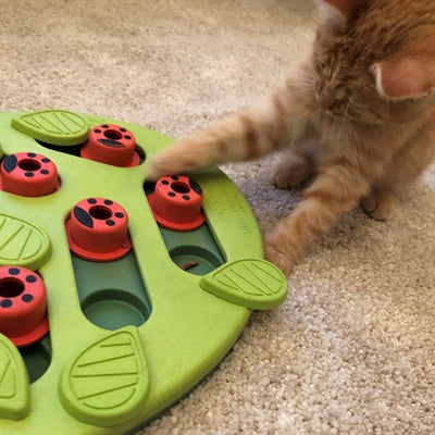 Nina Ottosson Puzzle & Play Buggin Out Green 35X26X4 Cm