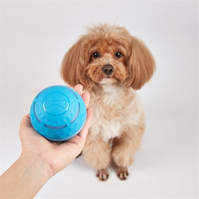 Fofos Rechargeable Rolling Ball For Dogs 8.5X8.5X8.5 Cm