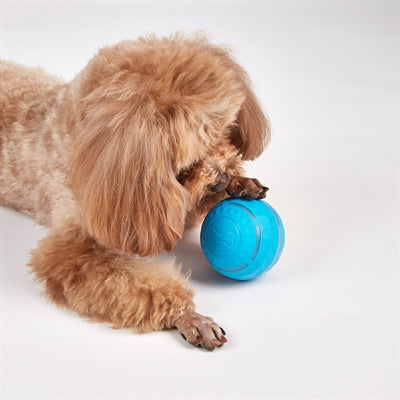 Fofos Rechargeable Rolling Ball For Dogs 8.5X8.5X8.5 Cm