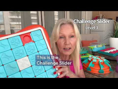 Nina Ottosson Challenge Slider Dog Puzzle
