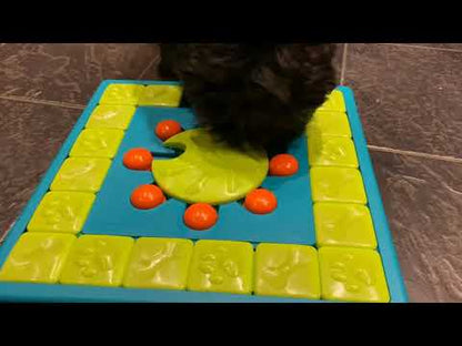Nina Ottosson MultiPuzzle Dog Toy