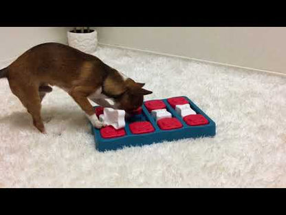 Nina Ottosson Dog Brick Puzzel